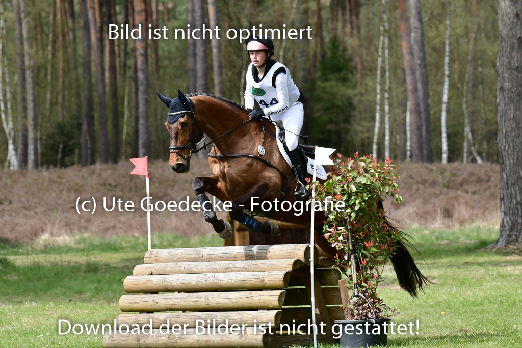 Luhmühlen VA  24.4.22 | 24-4-22 VA Luhmühlen_1517 