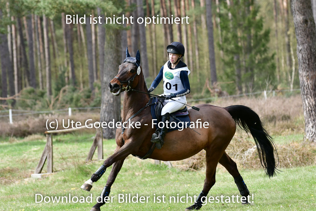 Luhmühlen VA  24.4.22 | 24-4-22 VA Luhmühlen_1546 