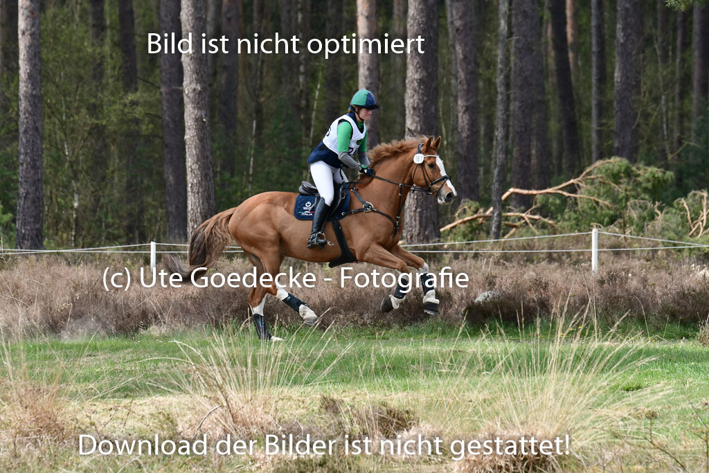 Luhmühlen VA  24.4.22 | 24-4-22 VA Luhmühlen_1555 