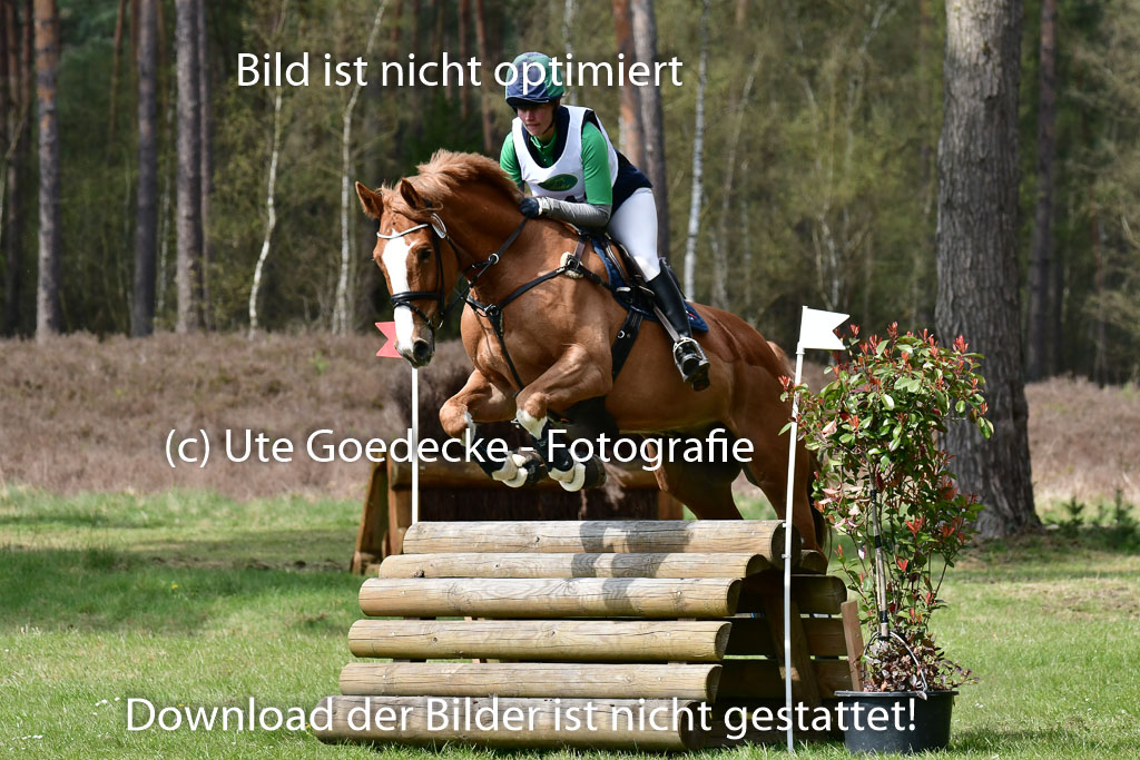Luhmühlen VA  24.4.22 | 24-4-22 VA Luhmühlen_1560 