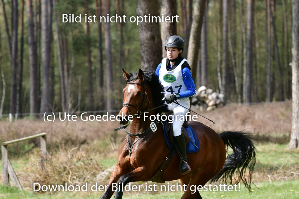 Luhmühlen VA  24.4.22 | 24-4-22 VA Luhmühlen_1580 
