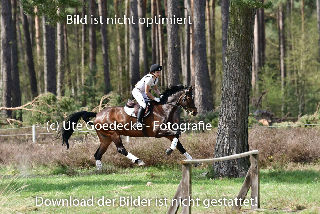 Luhmühlen VA  24.4.22 | 24-4-22 VA Luhmühlen_1700 