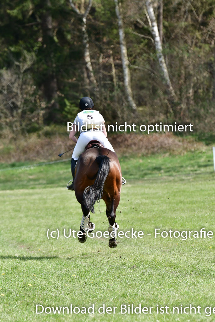 Luhmühlen VA  24.4.22 | 24-4-22 VA Luhmühlen_1719 
