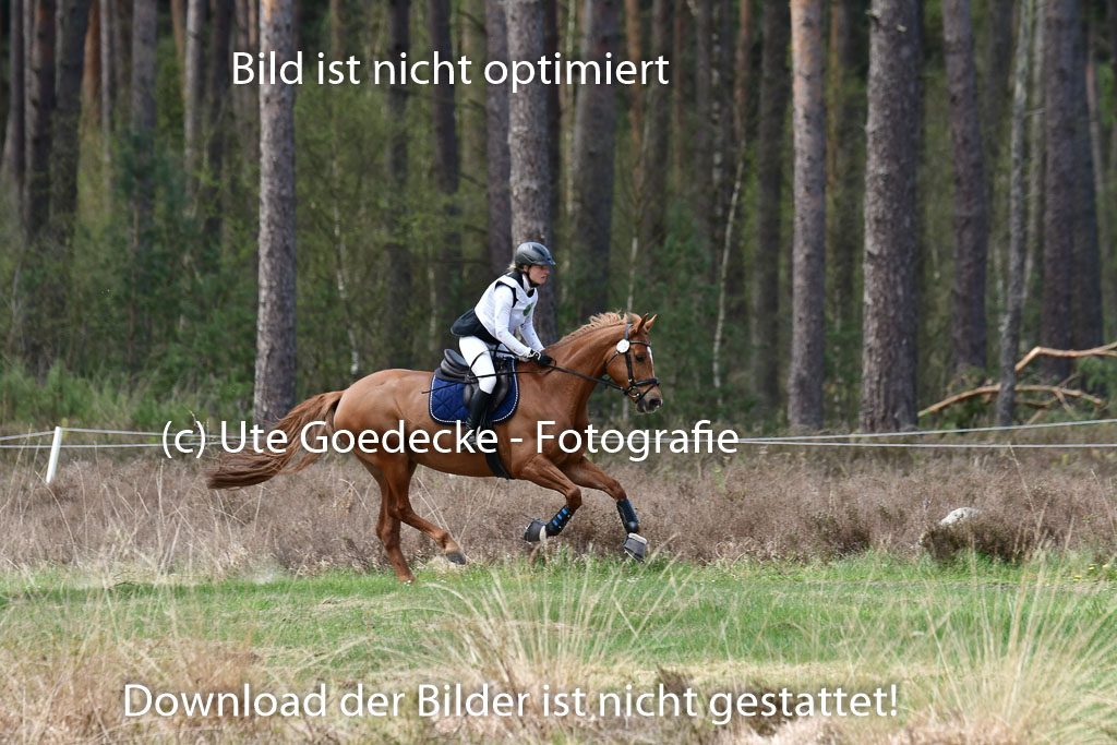 Luhmühlen VA  24.4.22 | 24-4-22 VA Luhmühlen_1761 