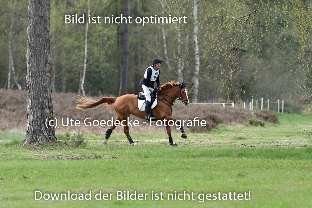 Luhmühlen VA  24.4.22 | 24-4-22 VA Luhmühlen_2265 