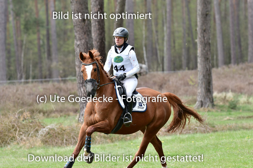 Luhmühlen VA 23.4.22 | 24-4-22 VA Luhmühlen_2298
