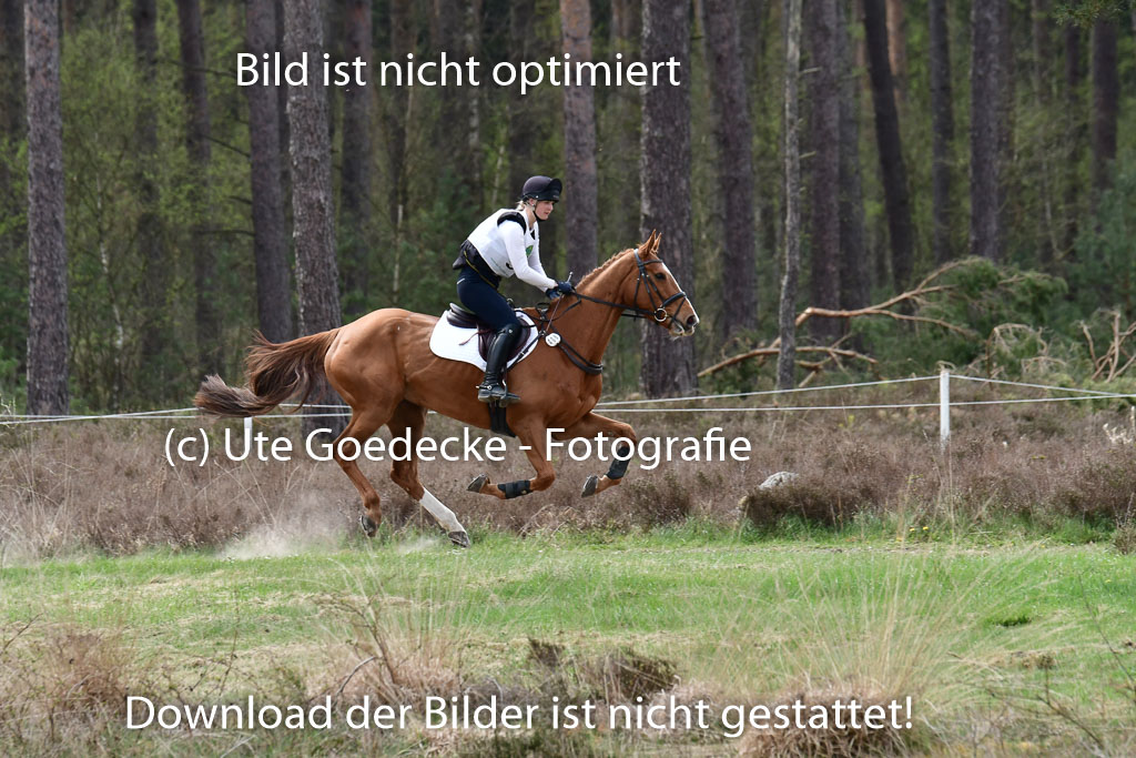 Luhmühlen VA 23.4.22 | 24-4-22 VA Luhmühlen_2433