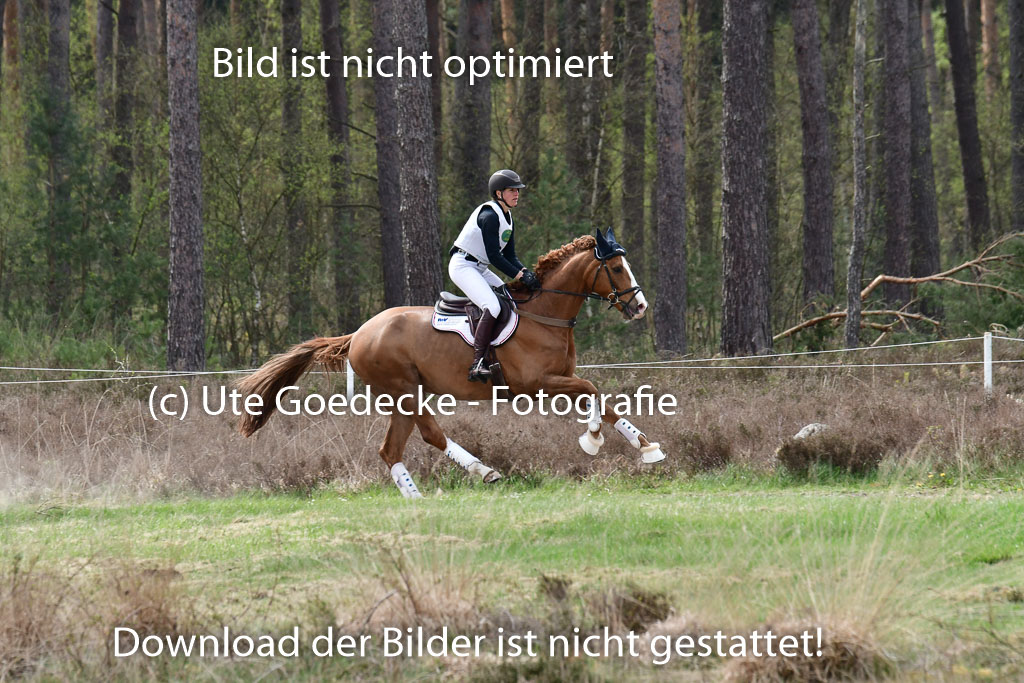 Luhmühlen VA 23.4.22 | 24-4-22 VA Luhmühlen_2463