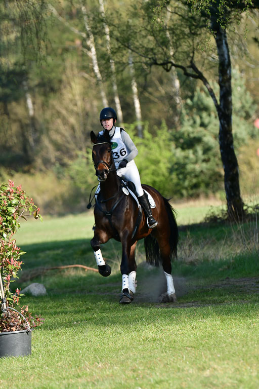 Luhmühlen VS KL A  24.4.22 | 24-4-22 VA Luhmühlen_0033 