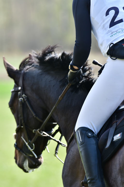 Luhmühlen VA  24.4.22 | 24-4-22 VA Luhmühlen_1176 