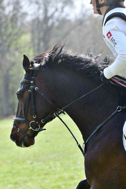 Luhmühlen VA  24.4.22 | 24-4-22 VA Luhmühlen_1370 