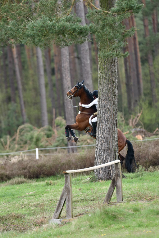 Luhmühlen VA  24.4.22 | 24-4-22 VA Luhmühlen_2092 