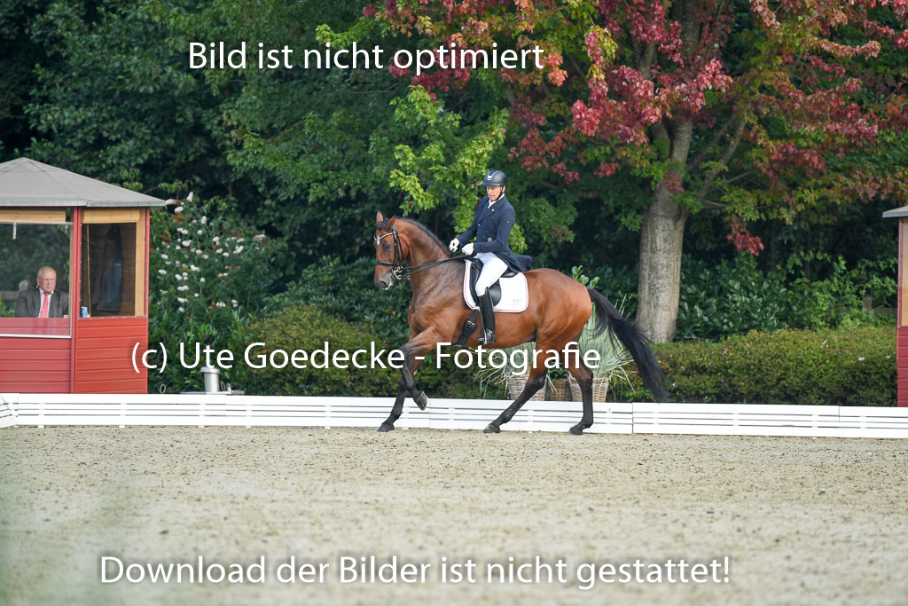 Anakenenhof    Dressur  25.08.2023 | Anakenenhof Prfg 1_014 