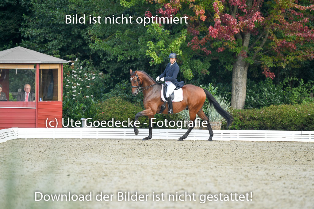 Anakenenhof    Dressur  25.08.2023 | Anakenenhof Prfg 1_015 