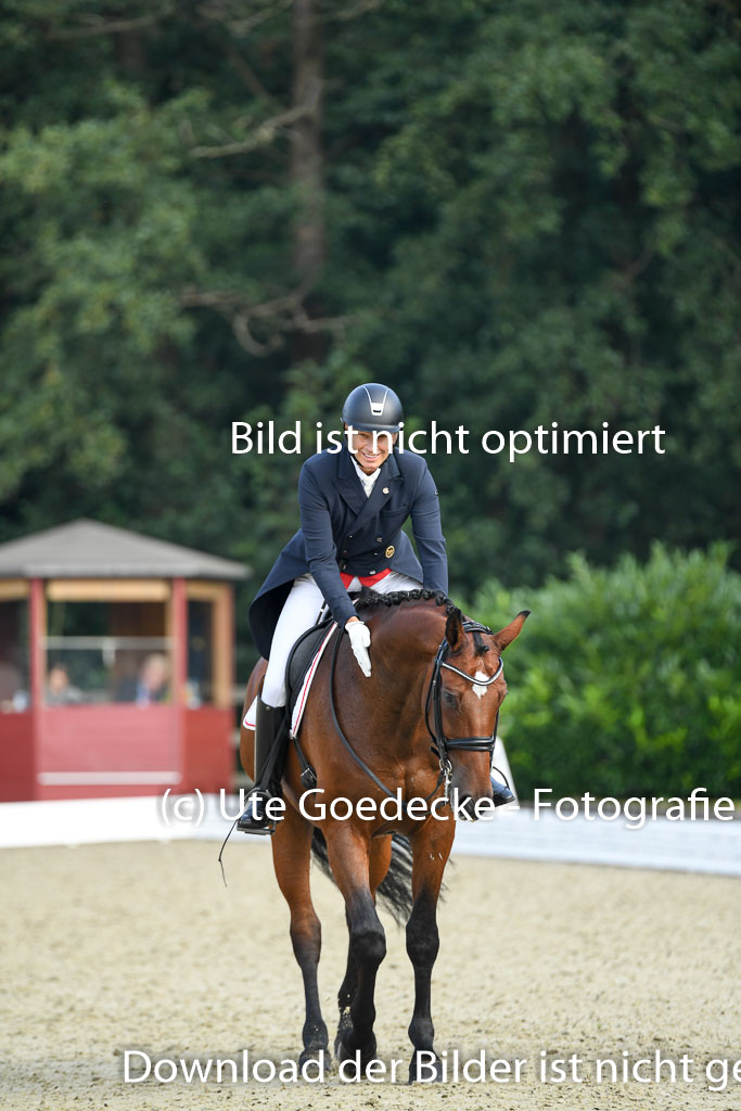 Anakenenhof    Dressur  25.08.2023 | Anakenenhof Prfg 1_020 