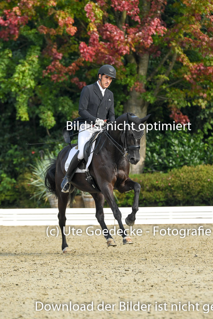 Anakenenhof    Dressur  25.08.2023 | Anakenenhof Prfg 1_030 