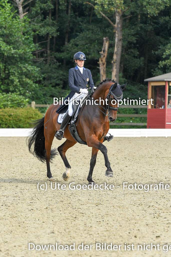 Anakenenhof    Dressur  25.08.2023 | Anakenenhof Prfg 1_042 
