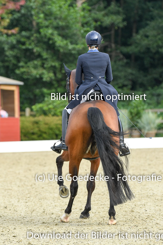 Anakenenhof    Dressur  25.08.2023 | Anakenenhof Prfg 1_045 