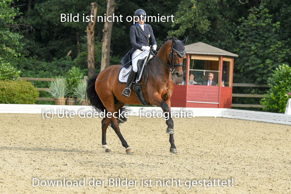 Anakenenhof    Dressur  25.08.2023 | Anakenenhof Prfg 1_047 