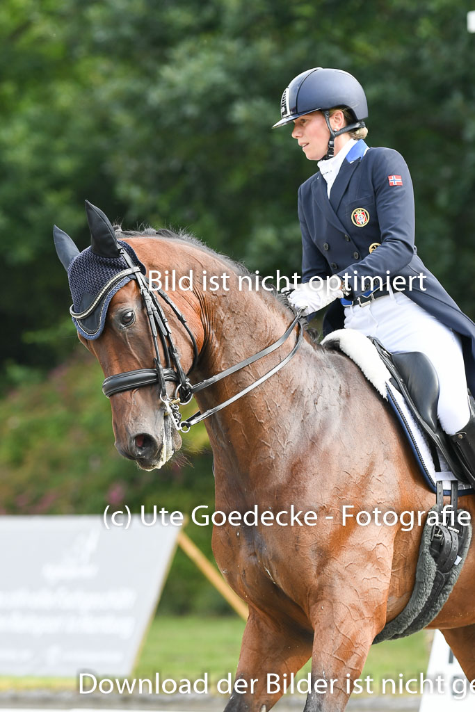 Anakenenhof    Dressur  25.08.2023 | Anakenenhof Prfg 1_052 