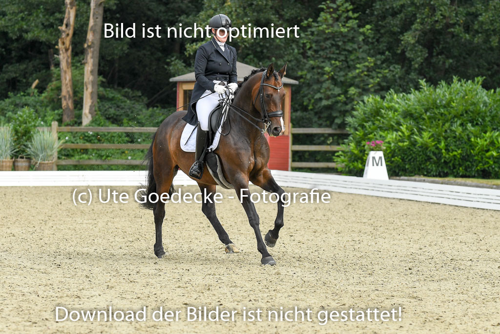 Anakenenhof    Dressur  25.08.2023 | Anakenenhof Prfg 1_069 