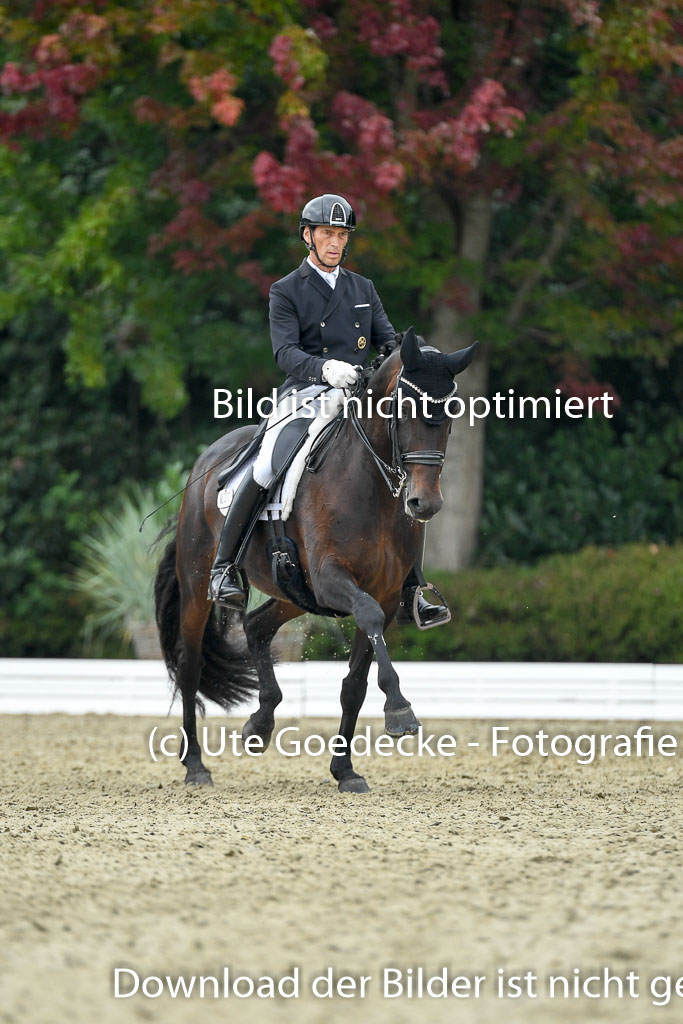 Anakenenhof    Dressur  25.08.2023 | Anakenenhof Prfg 1_075 