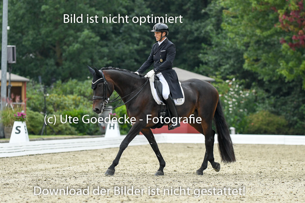 Anakenenhof    Dressur  25.08.2023 | Anakenenhof Prfg 1_081 
