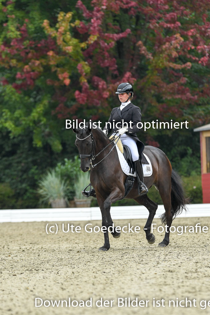 Anakenenhof    Dressur  25.08.2023 | Anakenenhof Prfg 1_091 