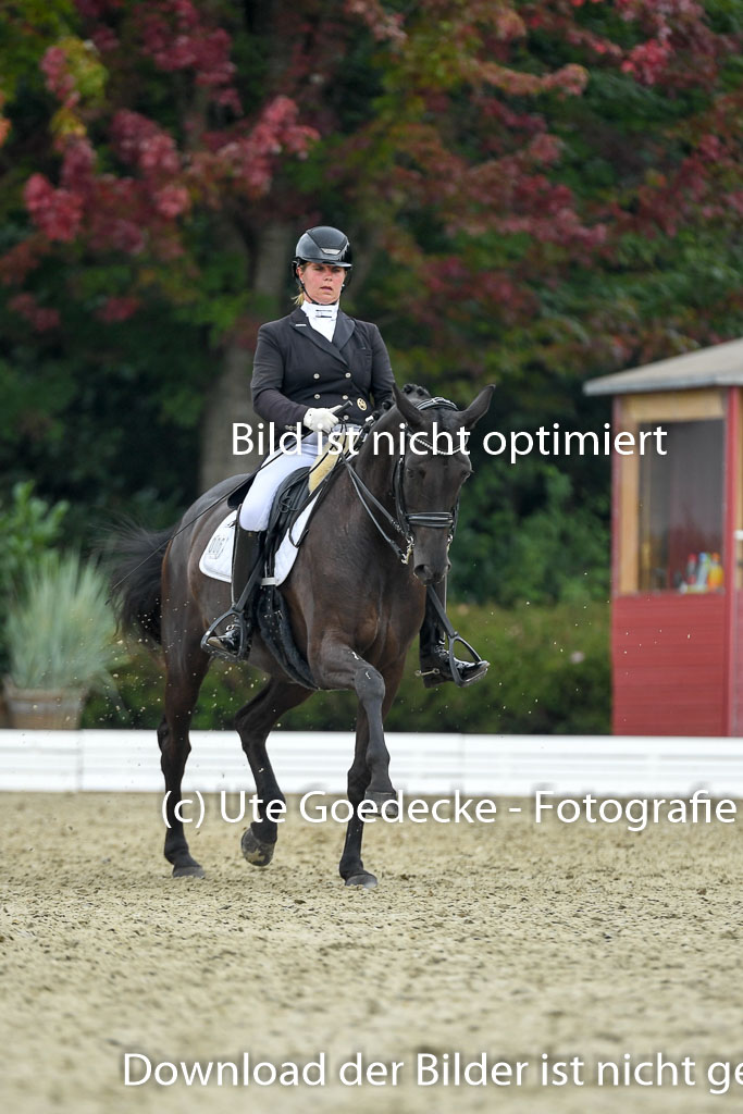 Anakenenhof    Dressur  25.08.2023 | Anakenenhof Prfg 1_105 