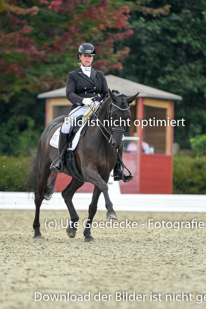 Anakenenhof    Dressur  25.08.2023 | Anakenenhof Prfg 1_106 