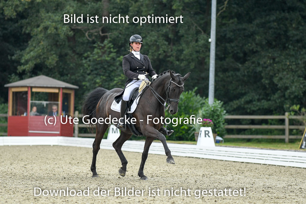 Anakenenhof    Dressur  25.08.2023 | Anakenenhof Prfg 1_107 