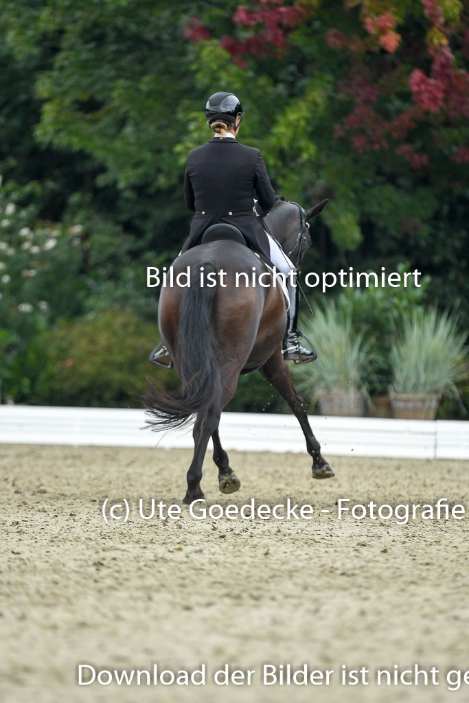 Anakenenhof    Dressur  25.08.2023 | Anakenenhof Prfg 1_110 