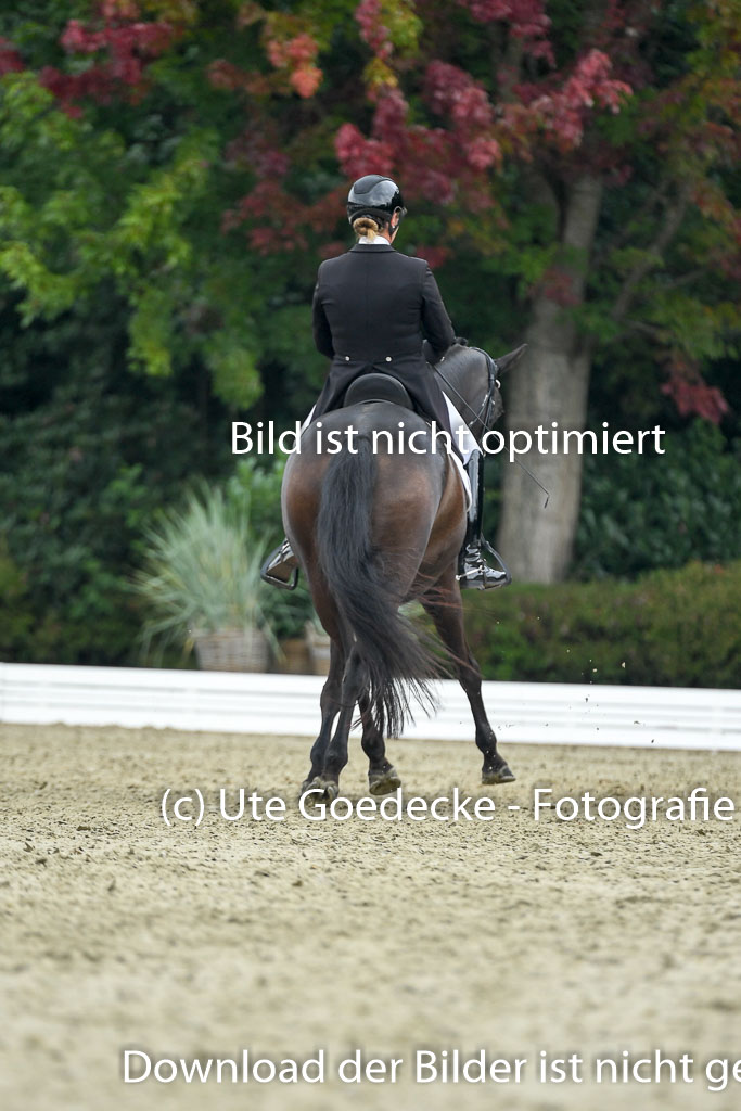 Anakenenhof    Dressur  25.08.2023 | Anakenenhof Prfg 1_111 