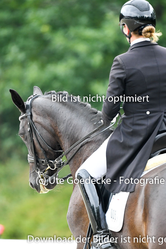 Anakenenhof    Dressur  25.08.2023 | Anakenenhof Prfg 1_112 