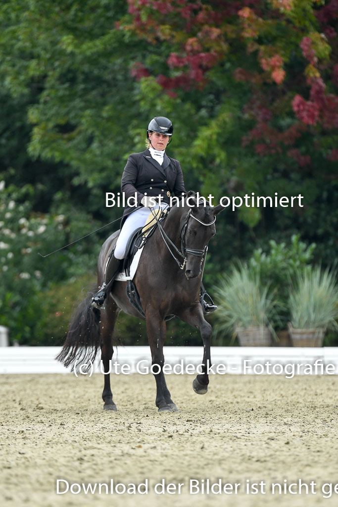Anakenenhof    Dressur  25.08.2023 | Anakenenhof Prfg 1_113 
