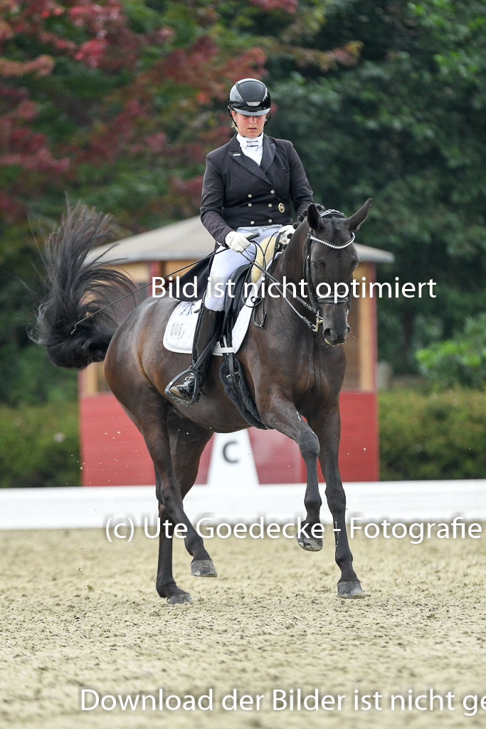 Anakenenhof    Dressur  25.08.2023 | Anakenenhof Prfg 1_115 