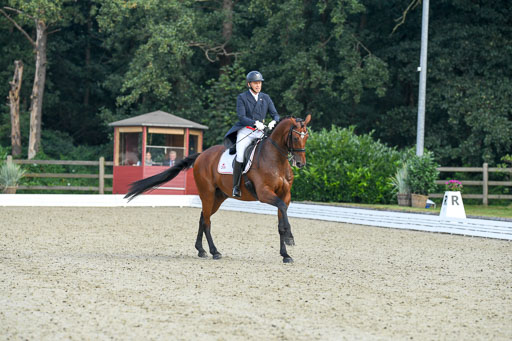 Anakenenhof    Dressur  25.08.2023 | Anakenenhof Prfg 1_016 