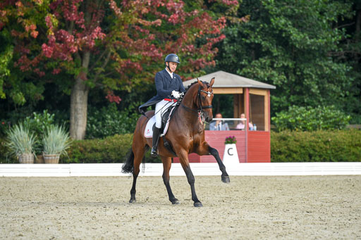 Anakenenhof    Dressur  25.08.2023 | Anakenenhof Prfg 1_017 