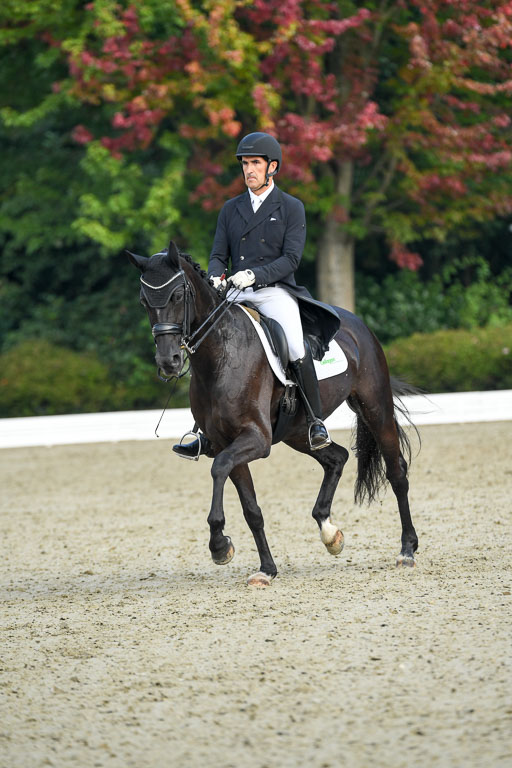 Anakenenhof    Dressur  25.08.2023 | Anakenenhof Prfg 1_025 
