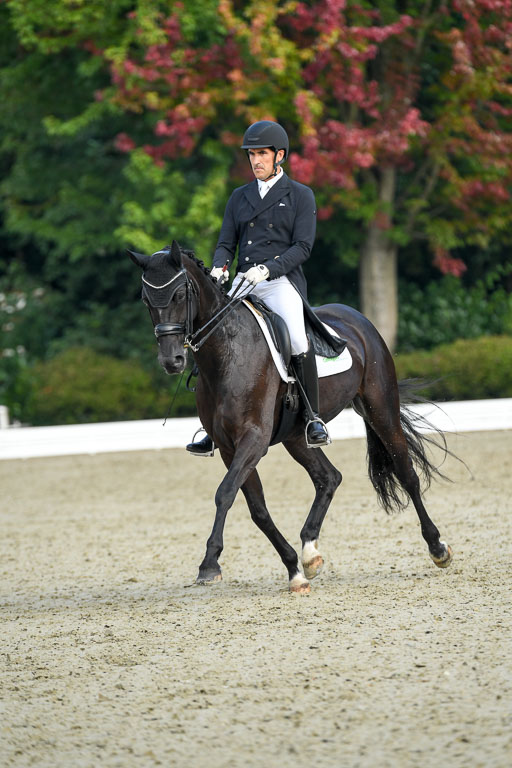 Anakenenhof    Dressur  25.08.2023 | Anakenenhof Prfg 1_026 