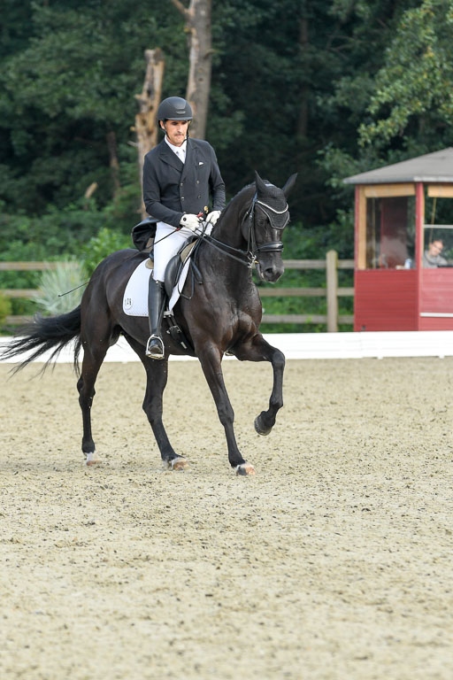 Anakenenhof    Dressur  25.08.2023 | Anakenenhof Prfg 1_029 