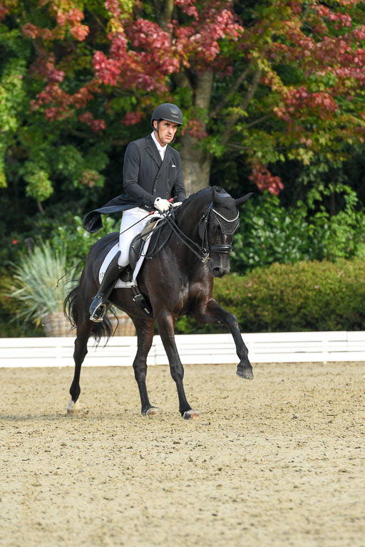 Anakenenhof    Dressur  25.08.2023 | Anakenenhof Prfg 1_031 