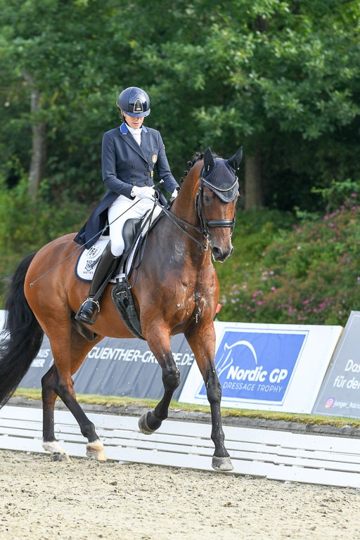 Anakenenhof    Dressur  25.08.2023 | Anakenenhof Prfg 1_035 