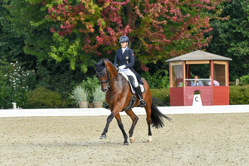 Anakenenhof    Dressur  25.08.2023 | Anakenenhof Prfg 1_037 