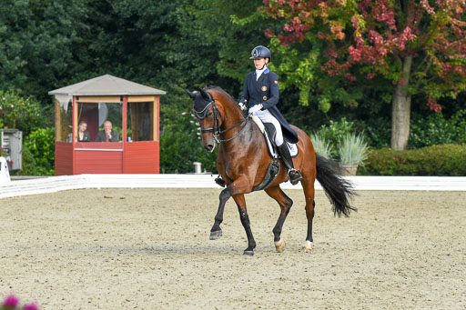 Anakenenhof    Dressur  25.08.2023 | Anakenenhof Prfg 1_038 