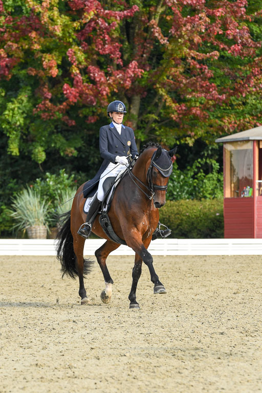 Anakenenhof    Dressur  25.08.2023 | Anakenenhof Prfg 1_040 