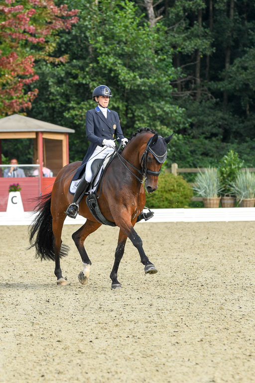 Anakenenhof    Dressur  25.08.2023 | Anakenenhof Prfg 1_041 