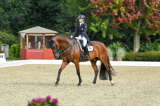 Anakenenhof    Dressur  25.08.2023 | Anakenenhof Prfg 1_044 