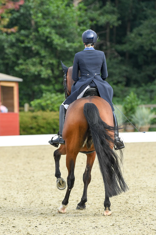 Anakenenhof    Dressur  25.08.2023 | Anakenenhof Prfg 1_045 