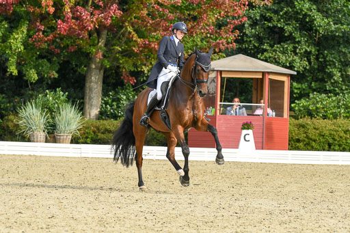 Anakenenhof    Dressur  25.08.2023 | Anakenenhof Prfg 1_046 